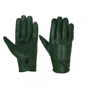 Leadies Winter Gloves-SS-8501